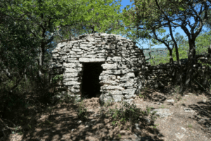 Lire la suite à propos de l’article 25 janvier : Plateau des Roques