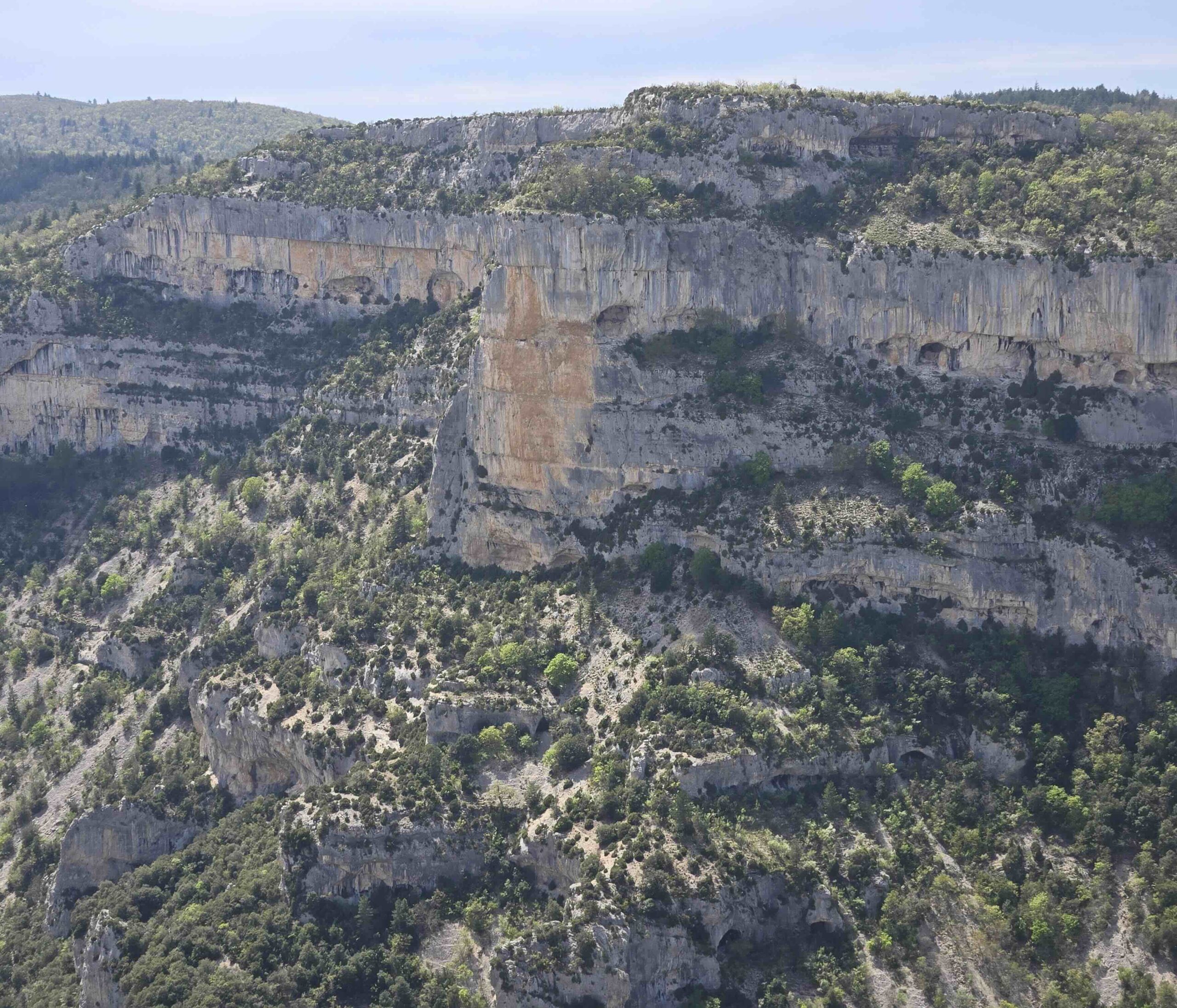 You are currently viewing 26 avril : Balade ornithologique