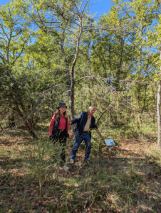 Lire la suite à propos de l’article La forêt nourricière